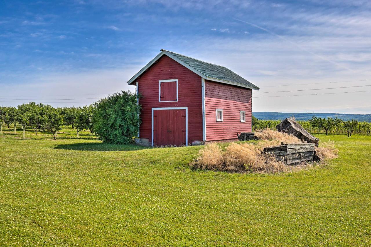 Finger Lakes Farm Retreat Walk To Wineries! Hector Exterior foto
